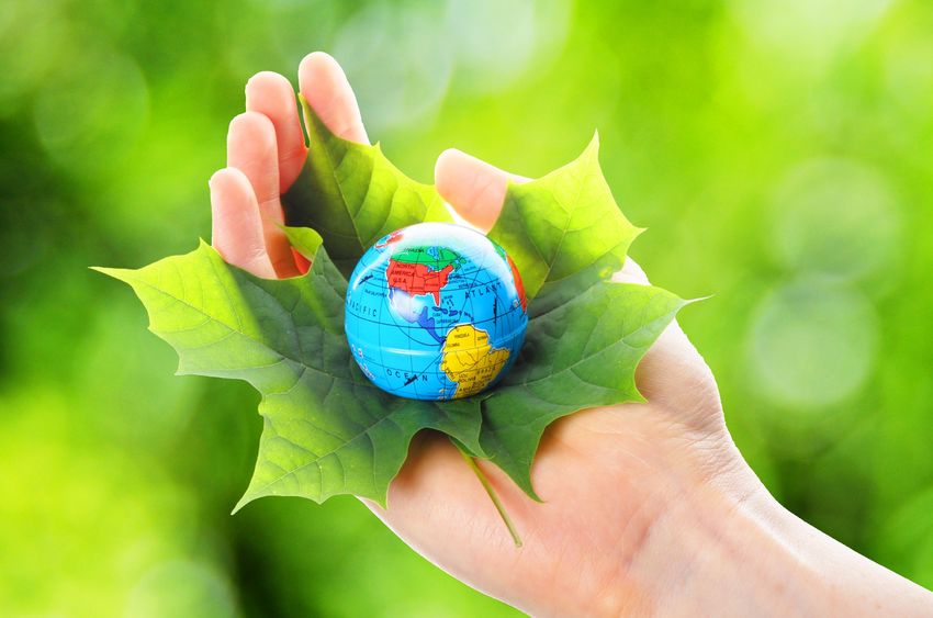 Small Dumpster Rental Cincinnati OH: Cost-Effective Solutions for Waste