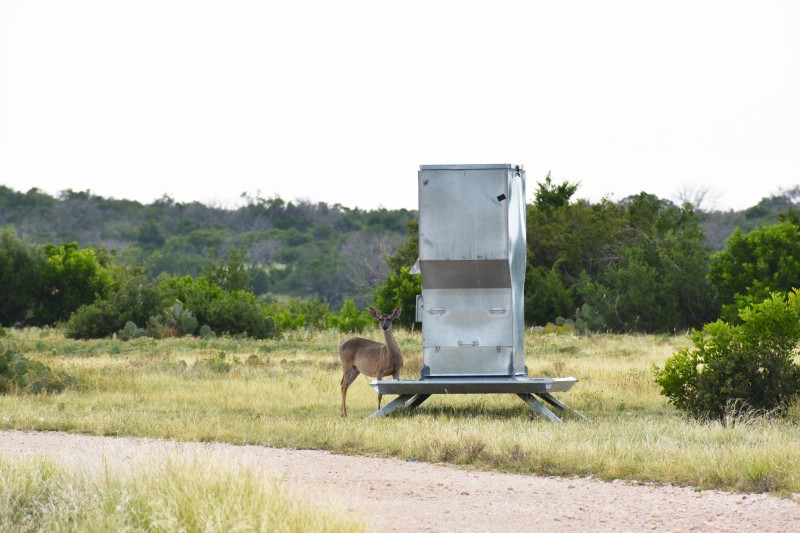 Disconnect The Phone And Enjoy Each Other: 4 Ideas for Fun Family Excursions in Texas