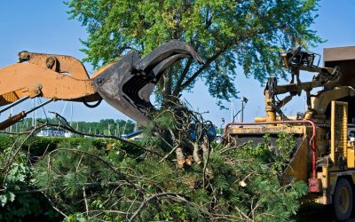 Streamline Your Construction With Equipment Rental Agency in Columbus OH