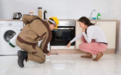 Effective Pest Control Solutions in Temecula, California