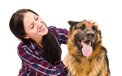 Master Dog Training Helena MT for Happy, Obedient Pets at Dee-O-Gee Helena