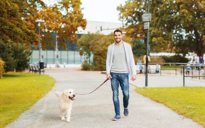 Make Cleanup Easy With a Local Pooper Scooper Service in Aurora, CO, for Your Home
