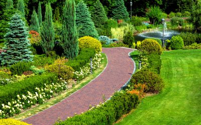 Expert Lawn Maintenance in Woodward, OK: Your Path to a Greener Lawn