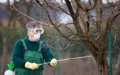 Protect Your Property with Orion Wildlife Solutions’ Animal Control Services