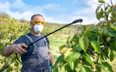 Get Reliable Weed Solutions for Your Property When You Shop Herbicides Locally