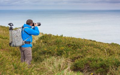 Find Joy in Every Snapshot by Choosing a Family Photographer in Arlington, TX, Near You