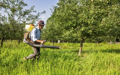 Prevent Unwanted Weeds in Your Yard with Treflan Pre Emergent Solutions