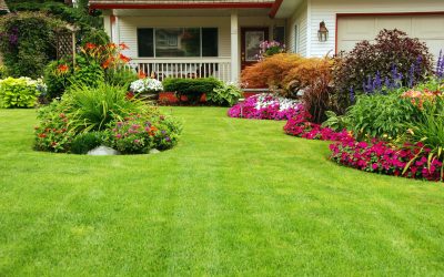 Landscapers in Twin Cities Share Expert Tips for Low Maintenance Yard Solutions