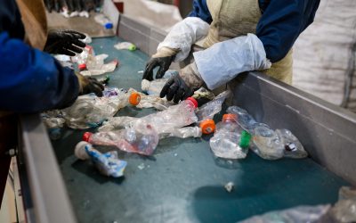 How Hazardous Waste Cleanup in Edmonton, AB Protects Communities and the Environment
