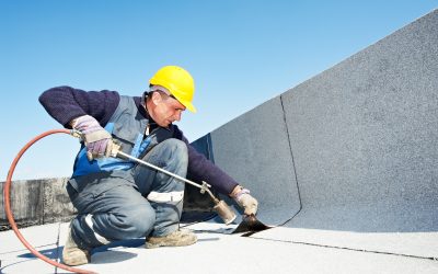 Benefits Homeowners Gain from Window Replacement in Frostproof, FL During Renovations
