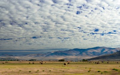 Ways to Quickly Sell Inherited Farmland, Mankato, MN, and Maximize Your Return