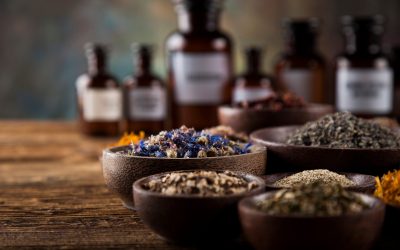 How Ambil Plant Medicine in Deland, FL Supports Natural Wellness and Holistic Healing