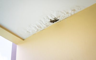 Expert Guidance for Emergency Water Damage Restoration in Elmhurst, IL Residences