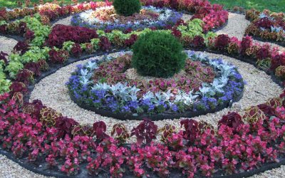 Enhance Outdoor Spaces With Eco-Friendly Landscape Design in Menifee, CA