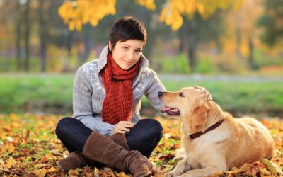 Experience Stress-Free Pet Care with a Reliable Dog Daycare Center In Denver Residents Choose