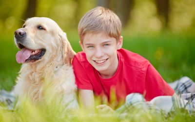 Meet the Skilled Veterinary Team at Animal Hospital Miami FL, Dedicated to Your Pets