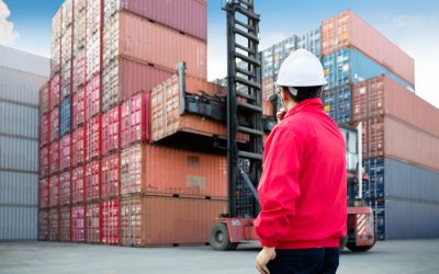 Why Choosing a Local Material Handling Equipment Supplier in Boston, MA Matters for Businesses